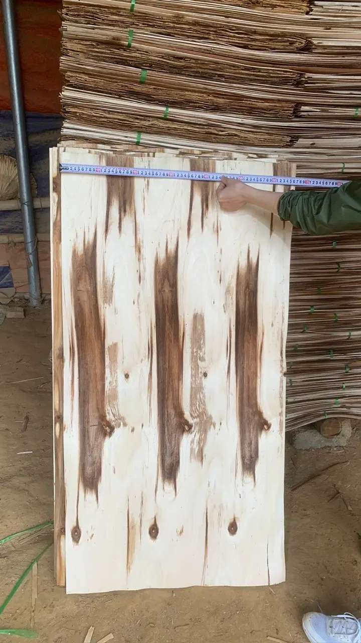 Water resistant acacia core veneer for exterior plywood from Vietnam