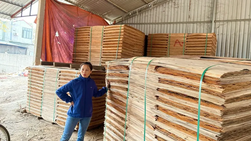 Strong steel banding on wooden pallets for core veneer export by Humenex Wood