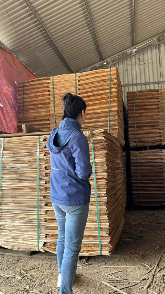 Strong steel banding on wooden pallets for core veneer export by Humenex Wood