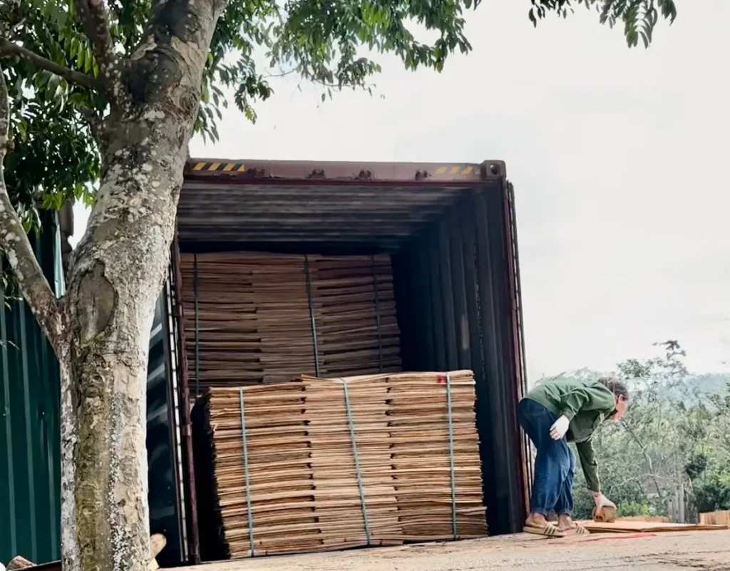 Safe container loading of dry core veneer to prevent fungus