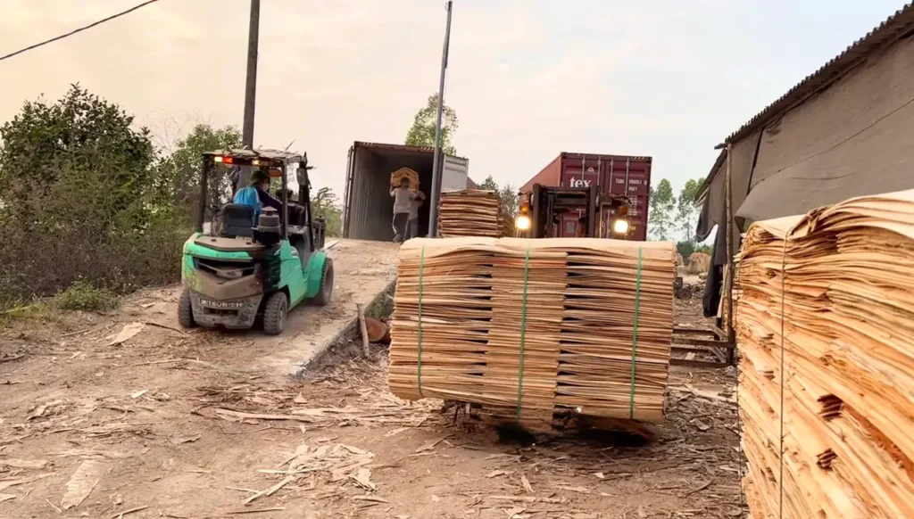 Safe forklift loading of core veneer pallets into 40HC container in Vietnam