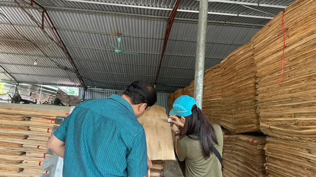 Humenex Wood team inspecting eucalyptus core veneer quality at the manufacturing plant