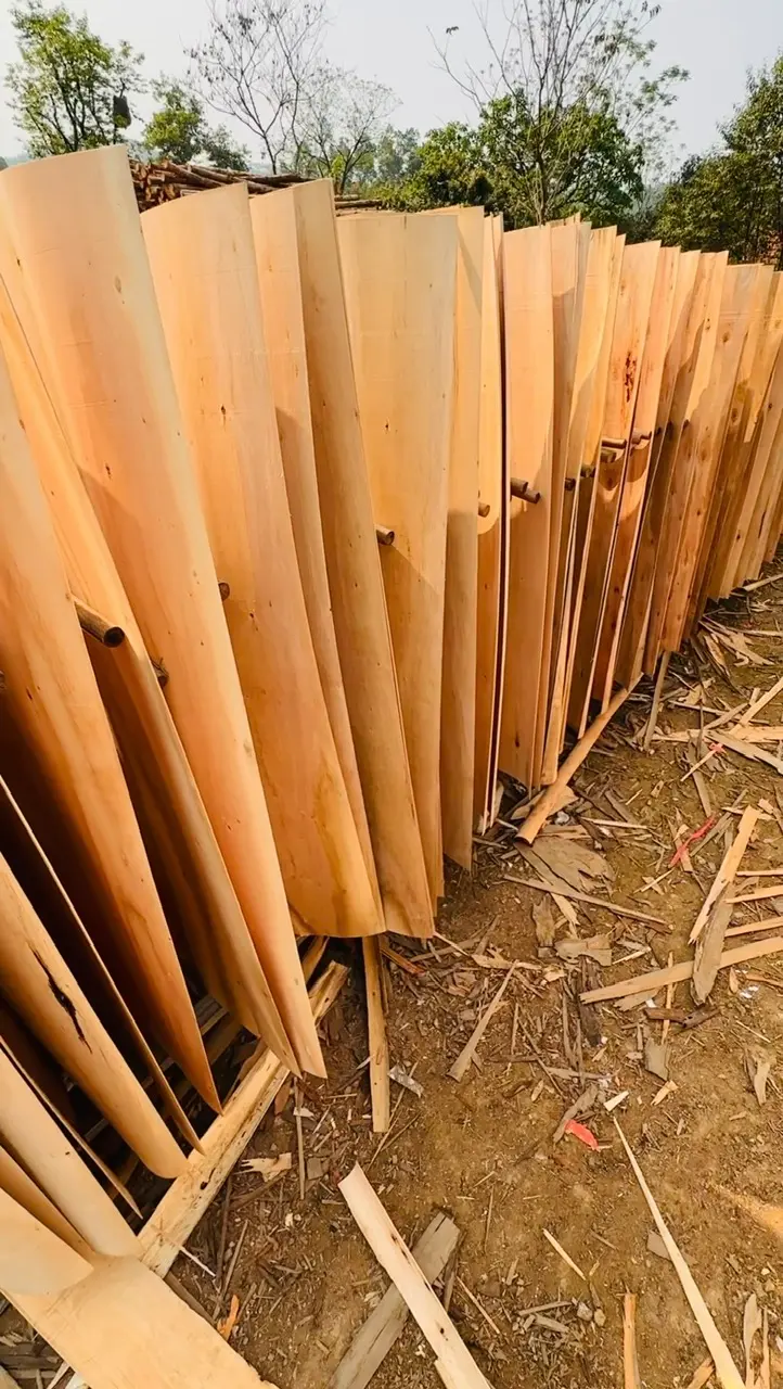 Premium eucalyptus core veneer grade A/B from Vietnam