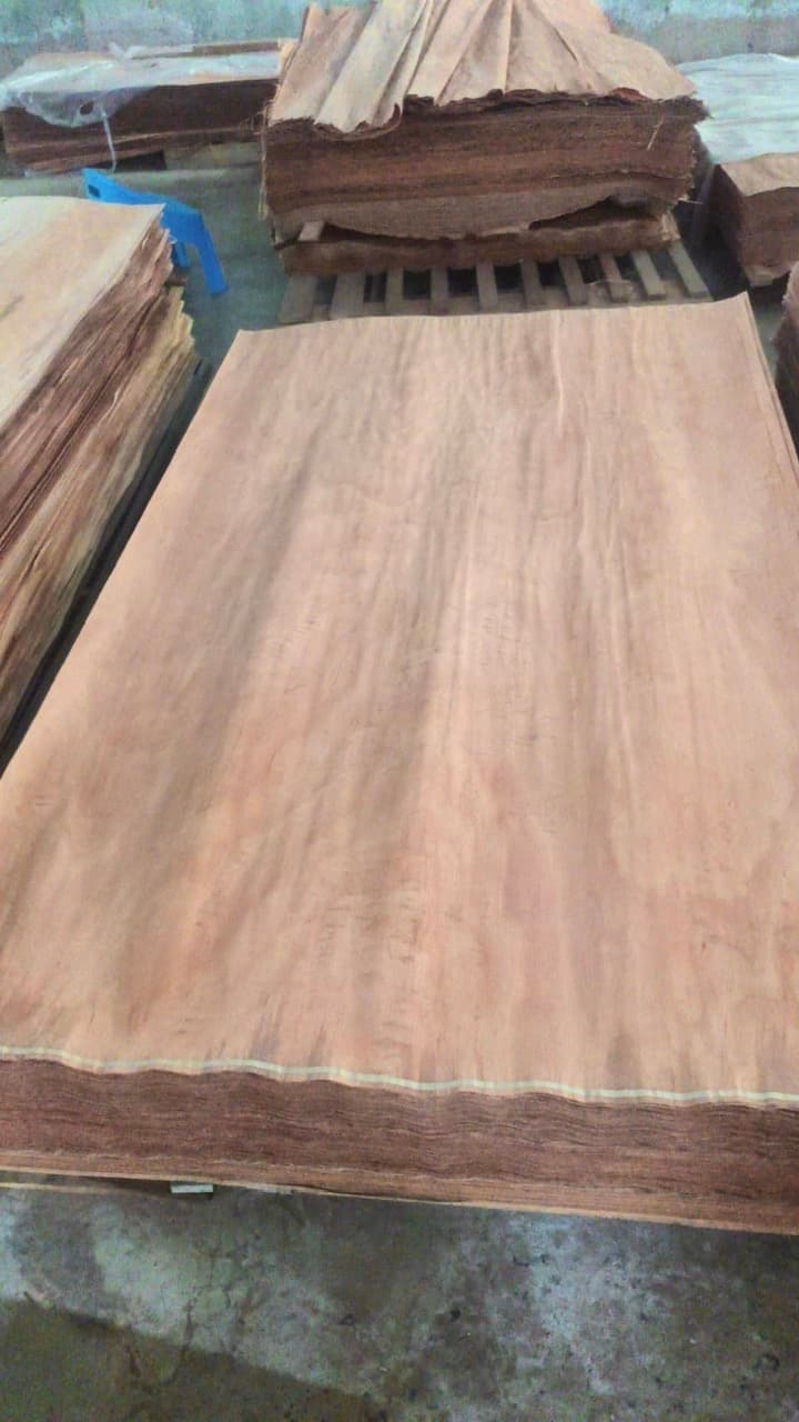 Laos Keruing face veneer 4x8 ft for Indian plywood manufacturers.